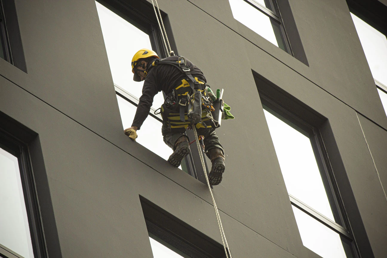 Intervention de cordistes MS Access pour vue dégagée chez BOR ROCADE à Villenave-d'Ornon (bâtiment) – 4